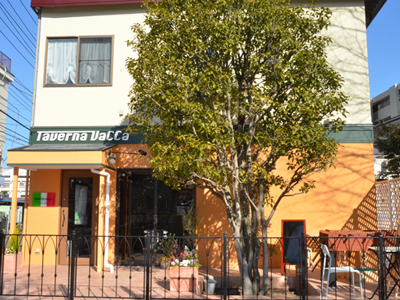 店舗新築工事(レストラン)